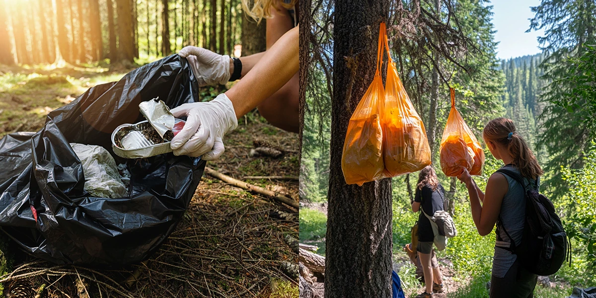 Home 91 waste management hygiene